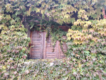 Proprietate in zona Parcului N Romanescu, casa batraneasca s