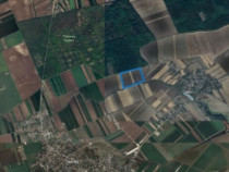 Teren de vanzare in Ilfov, Gagu, deschidere 74ml, 20762mp, 62.000euro