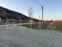 Teren intravilan industrial, 4307 mp, Podari