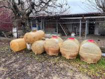 Butoaie de vin (fibra de sticla 200/300L)