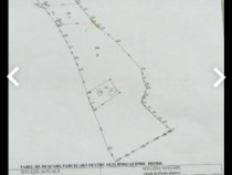 Teren de v&acirc;nzare intravilan 1500mp