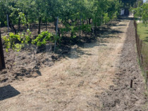 Casa de vanzare 800 mp curte, 32 mp utili, Bratovoești