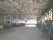 Teren 2.412 mp cu hală 600 mp – front 32,5 m, acces direc