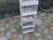 Colivie pentru canari