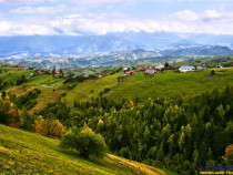 7.000 mp, pozitie spectaculoasa, fara vecini, Fundatica, Bra