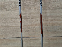 Bete trekking din carbon