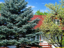 In Vintage style, cu acces auto in curte proprie, zona Star