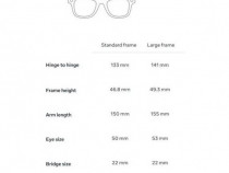 Ochelari Smart Ray-Ban