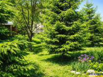 Locatie cu patru anotimpuri intr- o zi, incadrata de 2.350 t