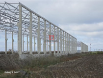 Depozit/hala/spatiu industrial Mogosoaia - Buftea