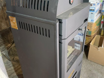 Termoșemineu Aquaplus 25 kw