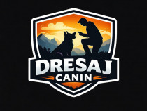 Dresaj canin la domiciliu