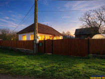 FILM! Casa cu sura, pivnita, balta cu pesti, 2.280 mp teren