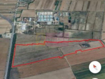 Teren 40ha Adunatii Copăceni | Industrial/ Logistic