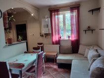 Apartament 1 camera Gruia