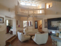 TM Timisoara, Braytim