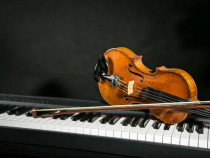 Lecții de Vioară, Pian, Canto, Teoria Muzicii !