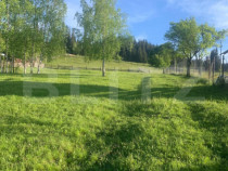 Teren intravila in Vatra Dornei, 2000 mp