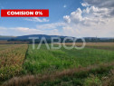 Teren extravilan agricol 5265 mp utilitati in zona Oarda de