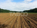 Teren extravilan agricol 12.000 mp utilitati in zona Pianu d