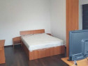 Apartament cu o camera in zona Dambovita