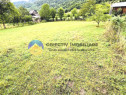 TEREN intravilan comuna TARCAU - STRAJA