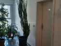 Apartament 2 camere, decomandat - zona Avantgarden