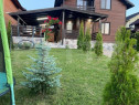 Cabana de vânzare, Baile Figa, Beclean