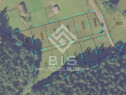 Teren intravilan parcelabil- Colibița, investitie