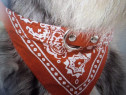 Bandana pentru caini