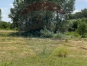 Teren-5000mp DN Ganeasa,sat Sindrilita,T9/Parcela 32/37