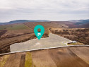 Vie de 115 Hectare &icirc;n satul Dud, județul Arad