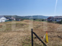 Teren intravilan 1 Ha si 42 Ari, zona Viisoara