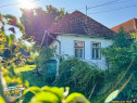 FILM! Proprietate traditionala,de poveste,cu 3.000 mp teren