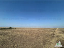 Simnicu de sus_langa Craiova/ Teren extravilan, arabil/ Supr