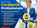 Servicii profesionale de curățenie & DDD