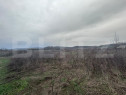 Teren extravilan de vanzare, 10.000 mp - Turcinesti