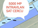 Bucium, 5000 mp teren intravilan, perfect plan, 6 km din Iași!