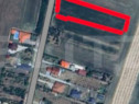 Teren intravilan de vanzare, 2.500 mp, Str Gorunului