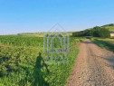 Teren intravilan Moara Carp - zona Ponoare