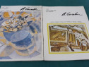 Brăduț covaliu /2 albume expoziție 1974*1989/ cu dedicație ș