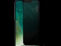 Folie Sticla Tempered Glass Apple iPhone 13 Pro Max 6.7 Full