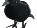 2 Păsări Negre Corbi Negri Sperietori Păsări