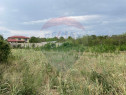 Teren intravilan 1,610mp Ciolpani / Strada Catunului, lan...