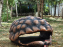 Carapace 3D gigant