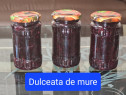 Dulceata de mure