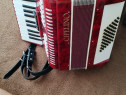 Acordeon 48 basi Friola