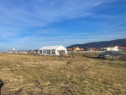 Teren intravilan Cristian