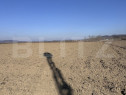Teren extravilan 8.100 mp, zona Samarghita