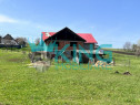 Casa 6 Camere Ghindaoani Targu -Neamt